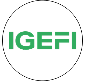 IGEFI